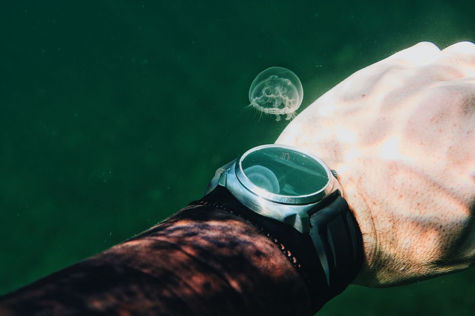 Close-up of a human hand with wristwatch and jellyfish underwater, showcasing aquatic exploration.